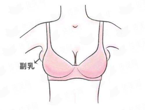 三、热门项目价格全透明