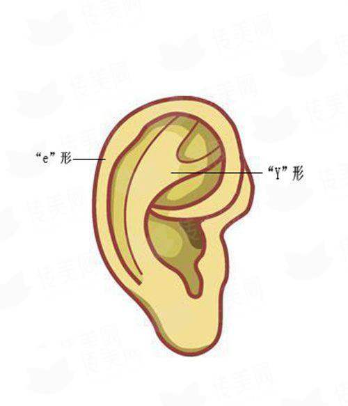 <strong>二、上海联合丽格何梦媛卧蚕技术好吗？解剖学功底下的妈生感塑造</strong>