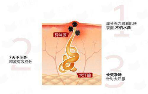 <strong>四、如何预约重庆华美整形口腔医院的何才伟医生进行面部轮廓面诊？</strong>