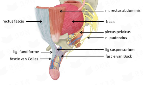 <strong>三、广东普宁安琪整形医院的“其他针剂”有什么优势？</strong>