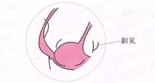 <strong>三、深圳富华整形刘少英针剂的价格贵吗？如何收费？</strong>