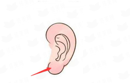 <strong>二、<strong>成都恒博植发医院的眉毛种植医生团队实力如何？</strong></strong>