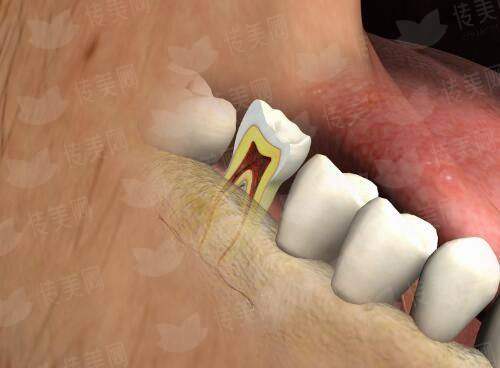 邯郸丽人整形私密紧致修复，激光/射频/手术多种方案可选，新颜智尚小程序一键预约