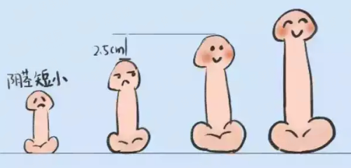 <strong>四、如何预约浙江杭州整形医院的高难度鼻修复骨干医生？</strong>