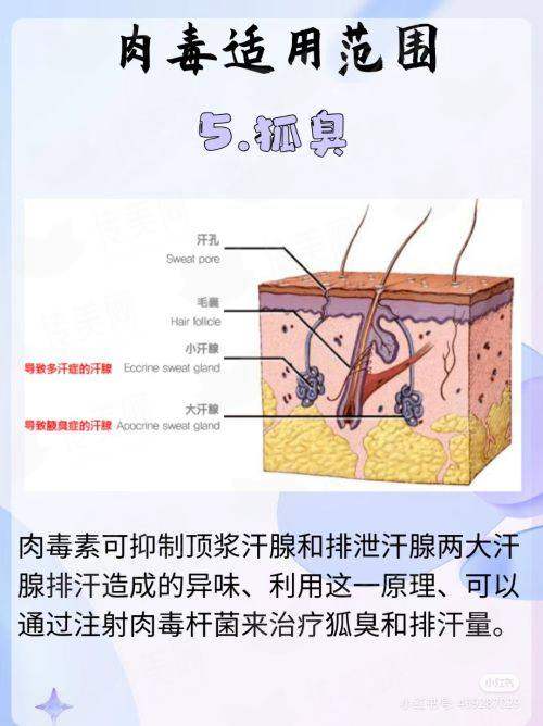 <strong>四、<strong>如何预约东莞星采医疗美容的双眼皮整形面诊？</strong></strong>