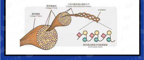 <strong>二、浙江杭州整形医院的自体脂肪隆胸技术好吗？</strong>