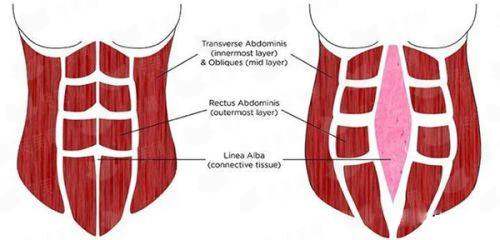<strong>四、上海美莱胸部整形术后服务和口碑如何？</strong>