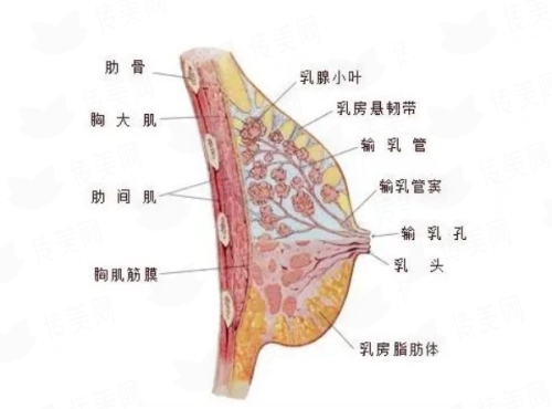 梁立汉院长5V明星艺术面雕，坐诊贵阳美和医，新颜智尚小程序一键预约