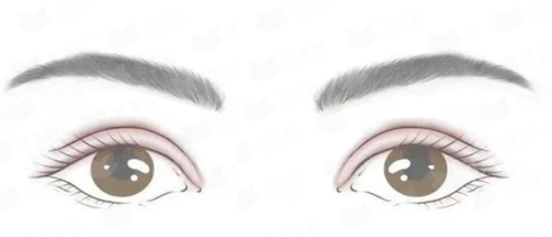 沈阳友谊面部提升医生介绍及案例推荐，到院路线指引，新颜智尚可约