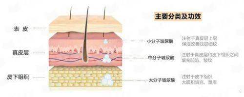 大连沙医生吴紫权眼修复怎么样?——多维度的实力透视